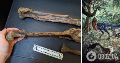 Ученый приобрел в сети останки динозавра, которые оказались "адским монстром"
