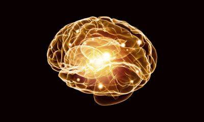 Как себя чувствует первый пациент с вживленным в мозг чипом Neuralink