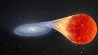 Белые карлики создают звездную пыль во время вспышек сверхновых типа Іа