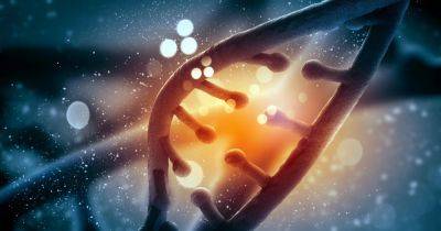 Чужеродные гены смогут добавлять в нашу ДНК: ученые создали новый инструмент PRINT