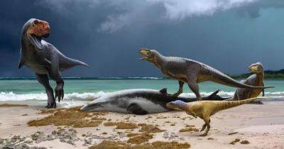 Чарльз Дарвин - Умерли в самом расцвете сил: стало известно, как именно умерли динозавры 66 млн лет назад (фото) - focus.ua - США - Австралия - Индия - Канада - Новая Зеландия - Монголия - Антарктида - Мадагаскар