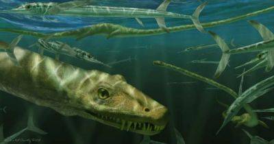 Ей 240 млн лет: ученые обнаружили странную рептилию, сохранившуюся в целостном состоянии (фото)