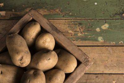 Диетолог рассказал, в каком виде картофель наиболее полезен