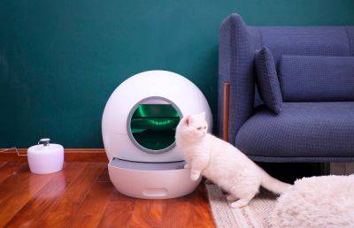 На рынок выходит умный кошачий туалет Amicura cura1 с автоматической дверцей