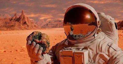 Все нужное будет прямо под ногами: ученые нашли материал для строительства первой базы на Марсе
