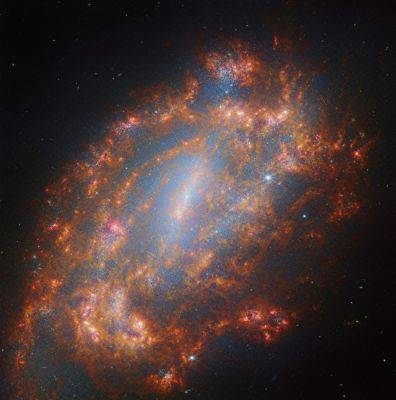 Обманчивое соседство: James Webb сфотографировал одинокую галактику