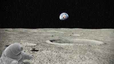 Могли ли тихоходы, которые выживают где угодно, колонизировать Луну?