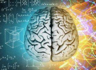 Ученые сделали революционное открытие о мозге