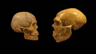 Максим Планк - Генетический анализ показал, что люди сосуществовали с неандертальцами в Европе более 5 000 лет - 24tv.ua