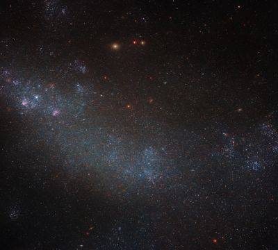 Hubble сфотографировал неправильного соседа Млечного Пути