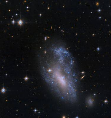 «Хаббл» запечатлел спиральную галактику UGC 3912