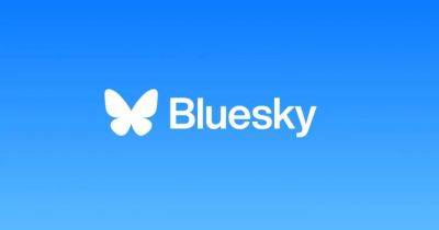 Bluesky позволит пользователям запускать собственные службы модерации