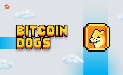 Dmitriy Yurchenko - Bitcoin Dogs собрала $10,6 млн в рамках ICO для токена на базе блокчейна биткоина - incrypted.com
