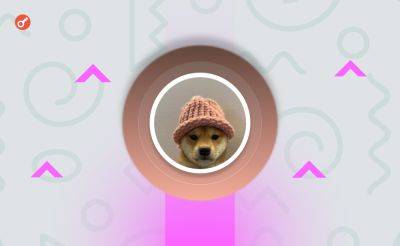 Фото пса с логотипа мемкоина Dogwifhat готовы купить в качестве NFT за $25 000