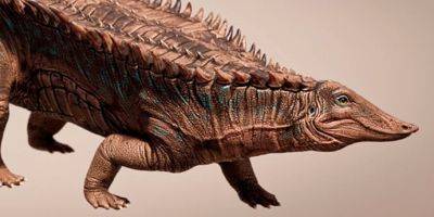 Палеонтологи открыли новый вид бронированной рептилии — изящного прадедушку крокодилов - tech.onliner.by - Техас