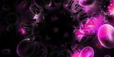 Ученые смогли «вырезать» ДНК ВИЧ из зараженных клеток
