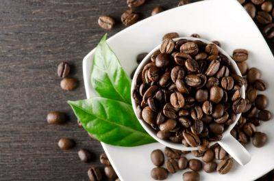 Кофе положительно влияет на здоровье мышц - исследование - cursorinfo.co.il - Иран
