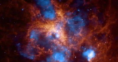 Почему первые звезды были в тысячи раз больше Солнца: ученые дали ответ - focus.ua