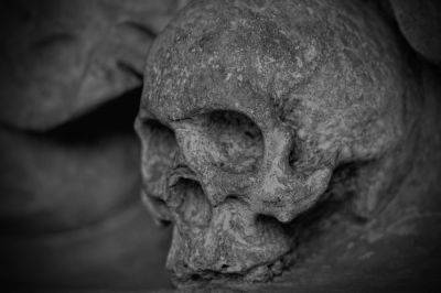 Ученые показали лицо "вампира" из XVI века – фото - cursorinfo.co.il - Австралия