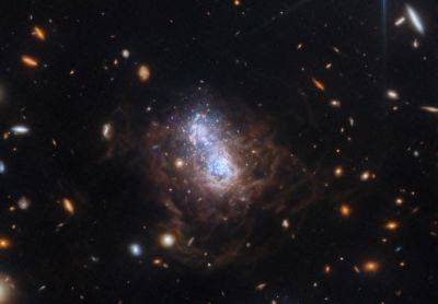 Двойной звездный роддом: James Webb сфотографировал «молодящуюся» галактику