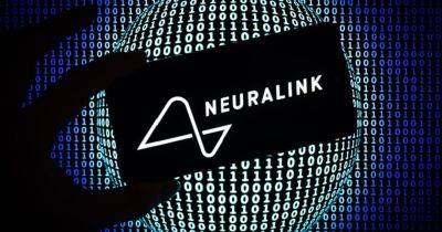 В США обнаружили нарушения в тестированиях Neuralink