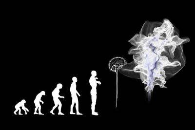Открытие ученых меняет представление об эволюции человека
