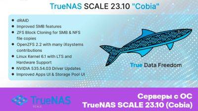 HOSTKEY предлагает к заказу серверы с операционной системой TrueNAS SCALE 23.10 (Cobia) для создания сетевых хранилищ