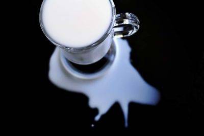 Какие виды молока можно добавлять в кофе при похудении