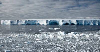 В Антарктиде происходит опасная "смена режима": ученые обеспокоены перспективами