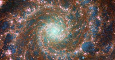 Какие звуки издают галактика и туманности: NASA озвучило 3 потрясающих снимка космоса (видео)
