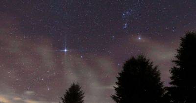 Действительно ли звезда Сириус самая яркая в ночном небе: ответ может удивить (фото)