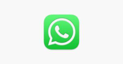 WhatsApp выпустил обновление с функцией редактора стикеров для Android