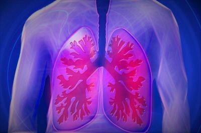 Могут ли люди забывать, как дышать – эксперты - cursorinfo.co.il
