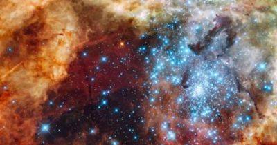 Как химические элементы заполняют космос: Хаббл обнаружил 500 голубых и красных звезд (фото)