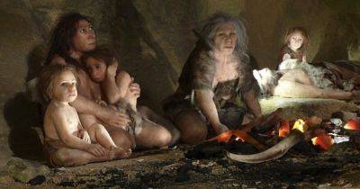 Неандертальцы были не глупее Homo sapiens: почему вымерли они, а не мы