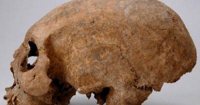 Слишком длинные черепа: ученые нашли странные останки женщин-викингов (фото)