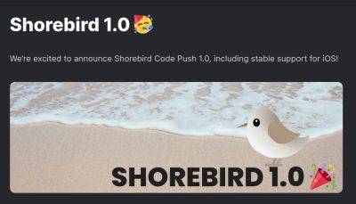 Релиз Shorebird 1.0 (Flutter Code Push)