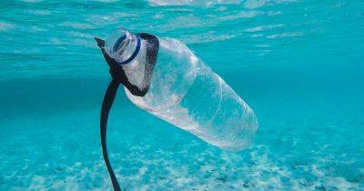 Мусоровоз пластика попадает в океан каждую минуту: ученые рассказали, сколько мусора осело на дне
