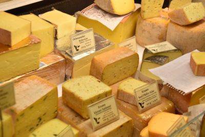 Медики назвали 4 веские причины отказаться от твердого сыра