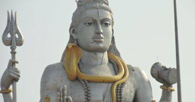 Назвали в честь змея Шивы: вымершая гадюка, возможно, была самой большой в мире - focus.ua - Индия