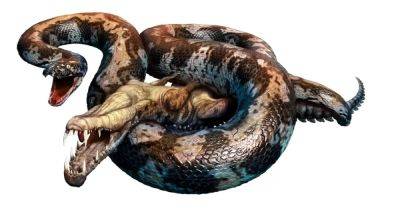 15 м в длину и весом в 1 тонну: найдена самая большая змея, когда-либо жившая на Земле (фото)