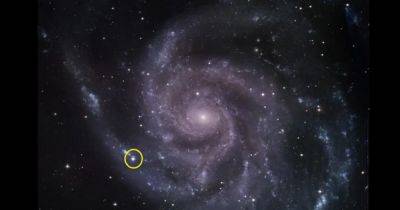 В самой близкой сверхновой не хватает важного компонента: это ставит под сомнение теории - focus.ua
