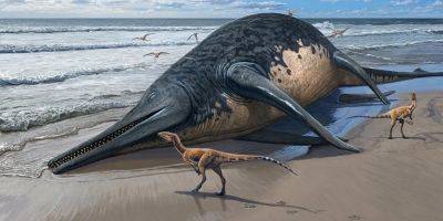 Длиной 25 метров. В Великобритании обнаружили окаменелости крупнейшей доисторической морской рептилии
