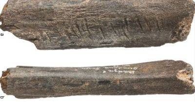 Артефакт возрастом 130 тысяч лет раскрыл непростые детали о неандертальцах: что узнали ученые - focus.ua - Австралия - Польша