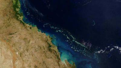 Спутник увидел массовую гибель коралловых рифов