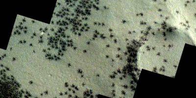 На фото с Марса показали таинственных «пауков» - tech.onliner.by