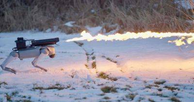 Рободог с огнеметом, который плавит снег и зажигает огонь: Американская компания представила новую технологию
