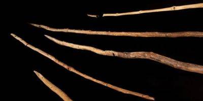 Коллекции деревянных инструментов неандертальцев оказалось 300 тысяч лет