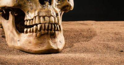 Кто изобрел первую зубную щетку и пасту: люди чистили зубы еще 130 тыс. лет назад - focus.ua - Италия