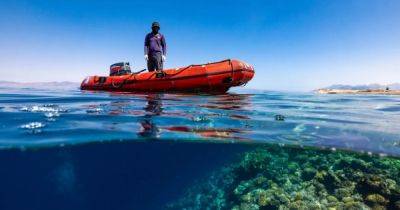 "Кипятильник" на дне Красного моря заставляет его кипеть: это спасет последний коралловый риф в мире - focus.ua - шт.Флорида